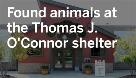 Thomas j o'connor animal shelter. Things To Know About Thomas j o'connor animal shelter. 